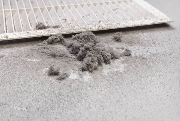 Best Air Duct Cleaning Near Me  in Rm Beach, WA