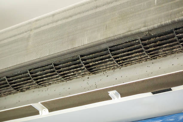 Best Air Duct Cleaning Near Me  in Rm Beach, WA